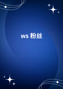 ws 粉丝 